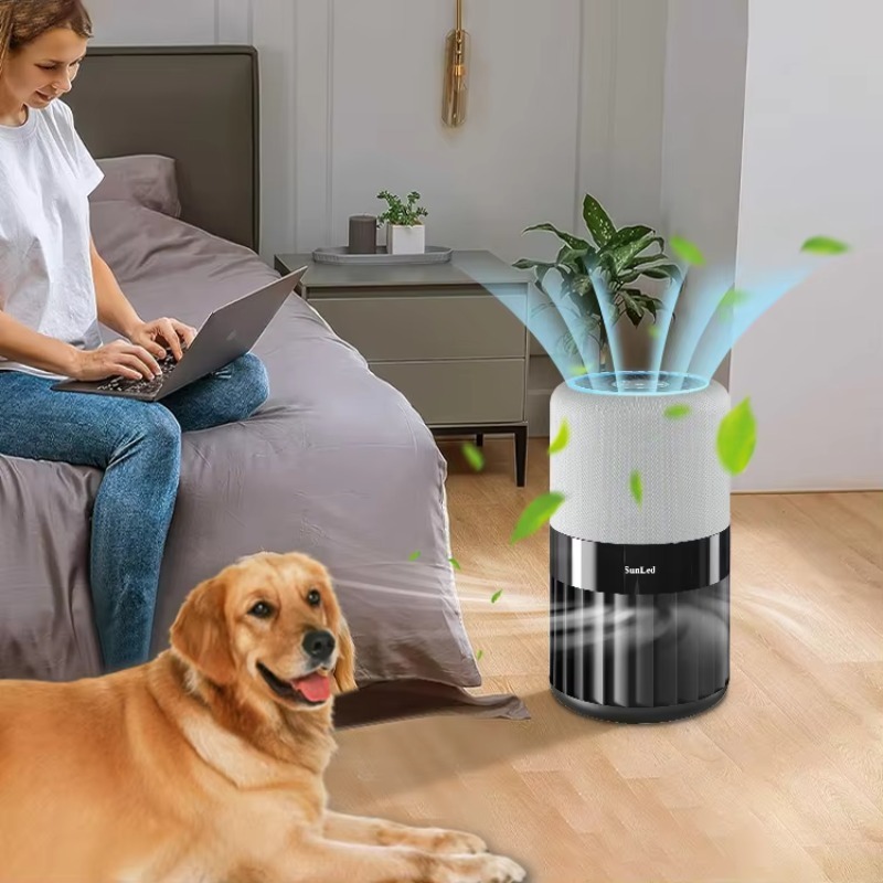 Air Purifier Hepa - Online Wholesale Product Pet Small Low