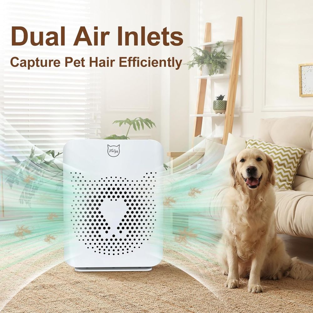 2-in-1 HEPA Air Purifier for P - огляд і ціна Air Purifier Hepa
