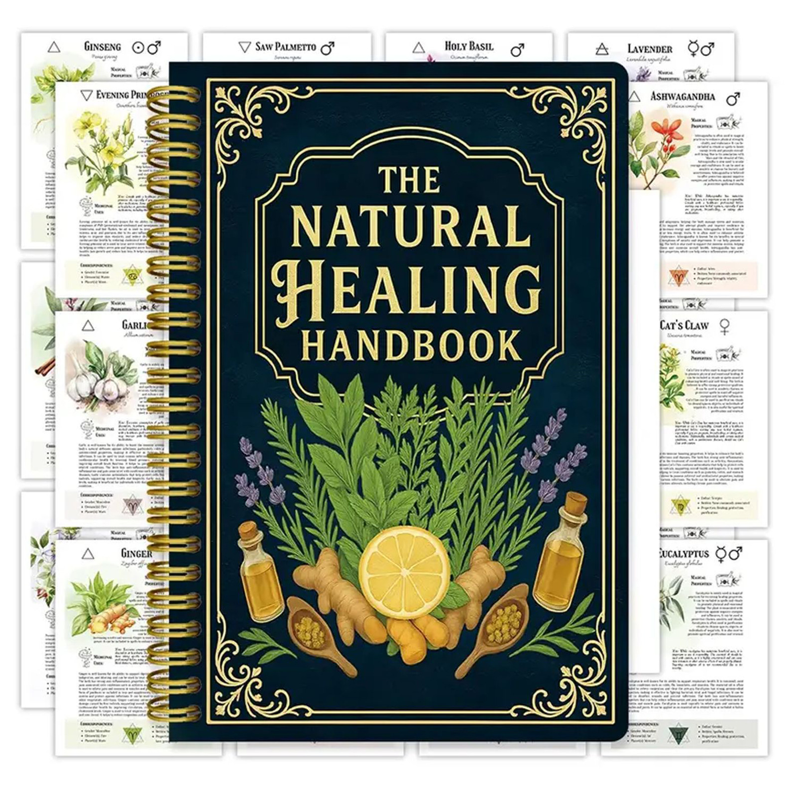 Natural Therapy Handbook, an E - огляд і ціна Health & Wellness Nurse Coach